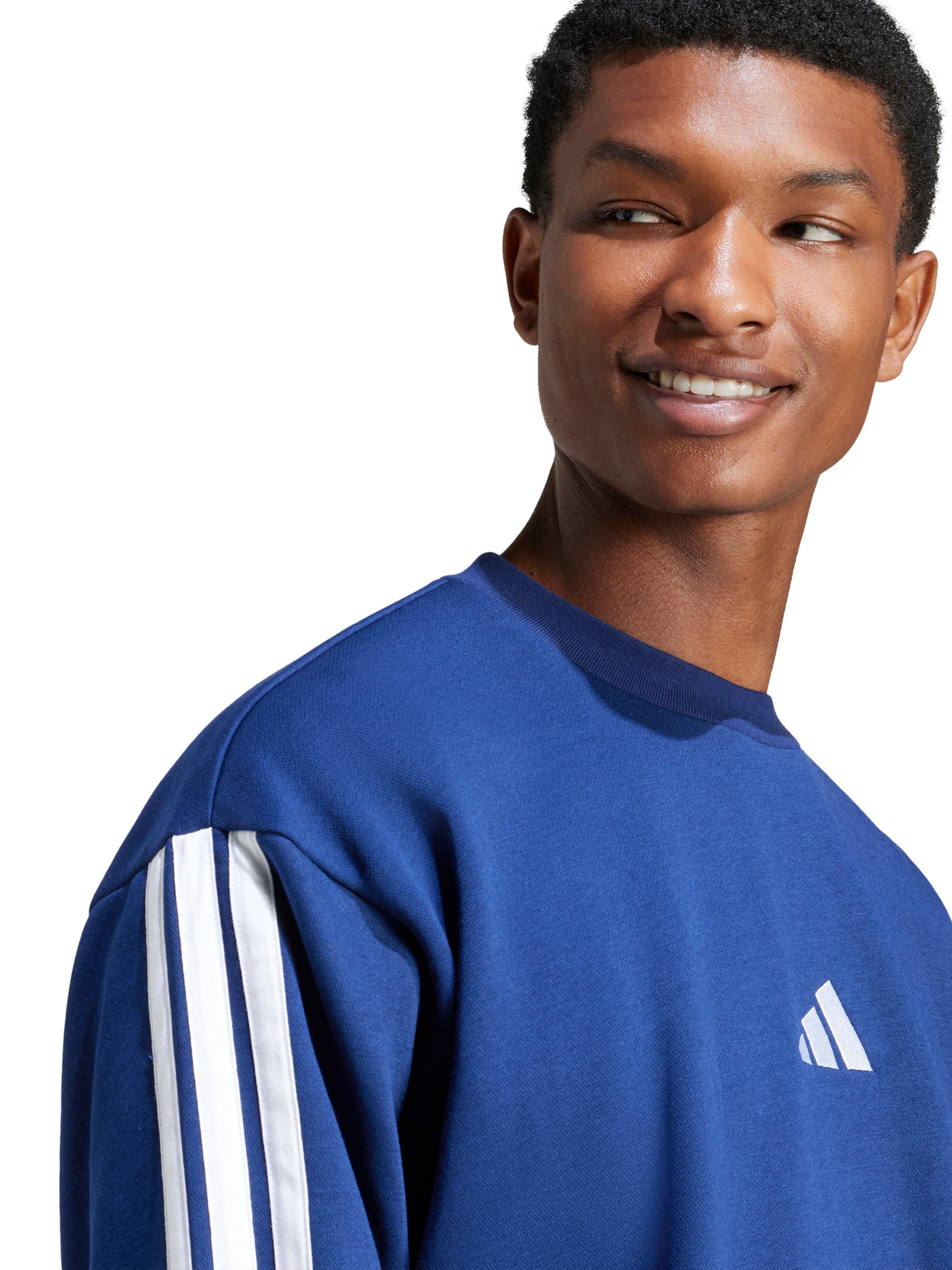 zils ADIDAS SPORTSWEAR Sportiska tipa džemperis