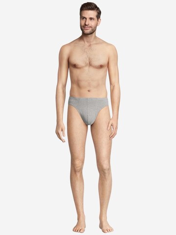SEIDENSTICKER Panty 'Pur' in Mixed colors