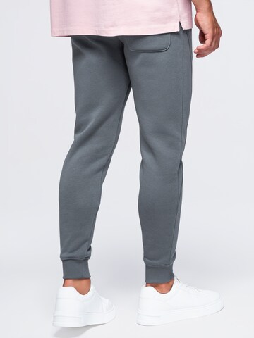 regular Pantaloni sportivi di Ombre in grigio