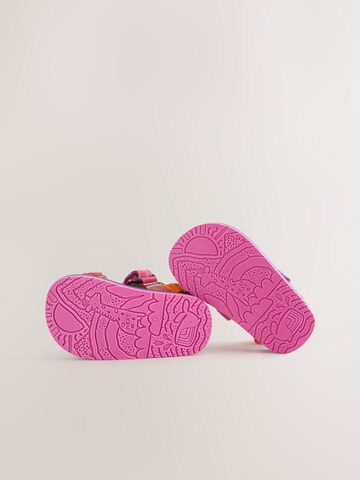 Sandales Next en violet