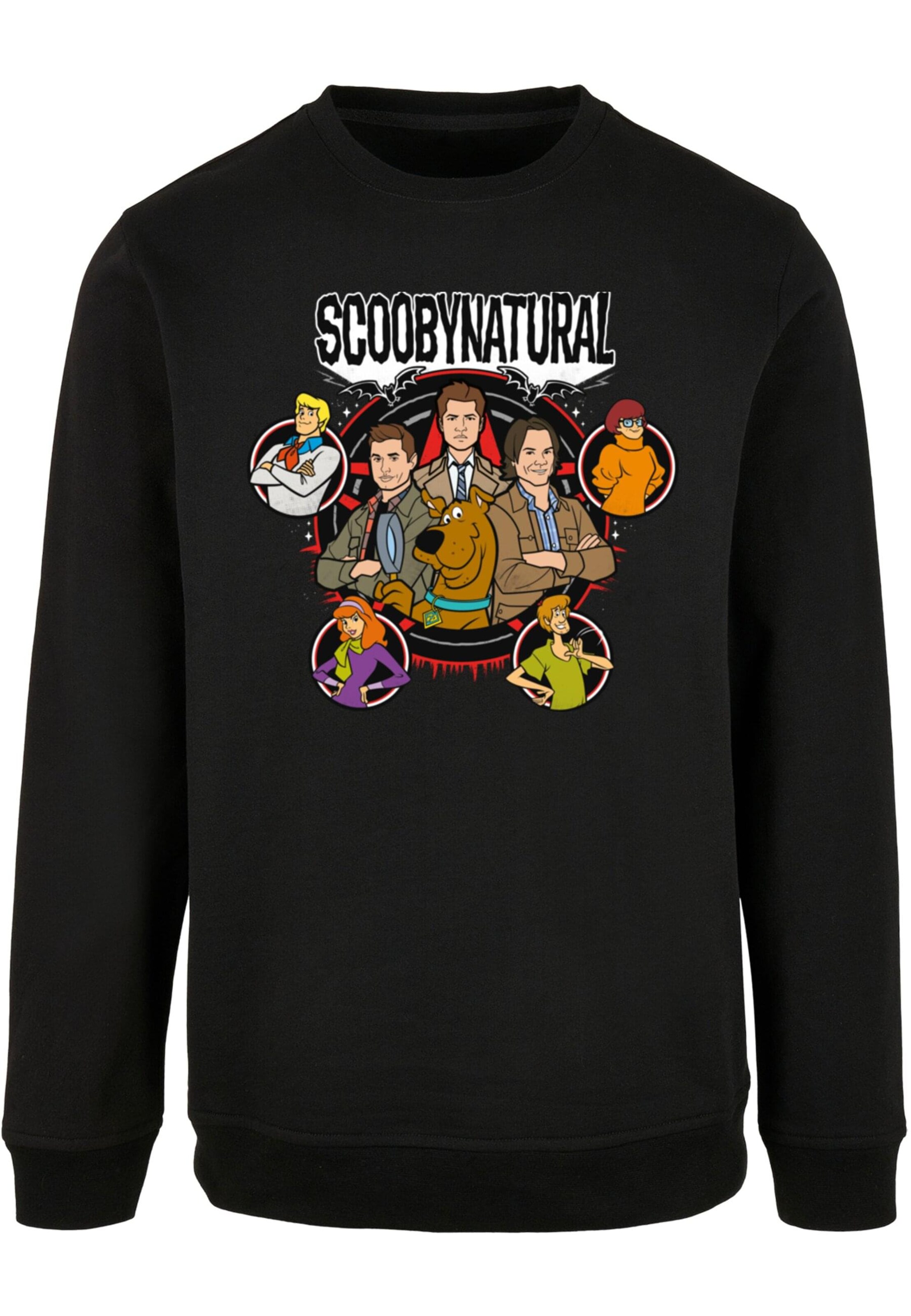 Sweat-shirt 'Scooby - Natural Characters' ABSOLUTE CULT en noir : devant