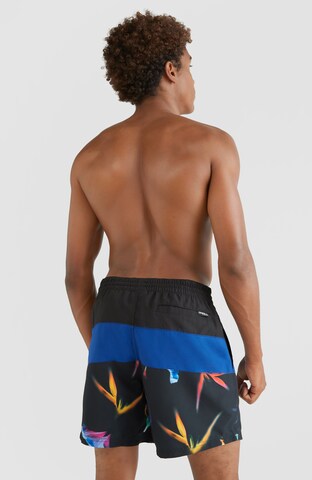 O'NEILL Zwemshorts in Blauw