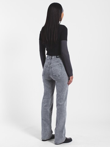 Dr. Denim Slim fit Jeans 'Moxy High Straight' in Grey