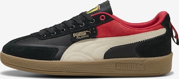 Baskets basses 'Scuderia Ferrari Palermo' PUMA en noir : devant