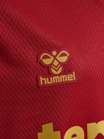 Hummel Performance shirt 'CDT 25/26 Away' in Red