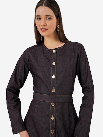 Bigdart Dress in Brown