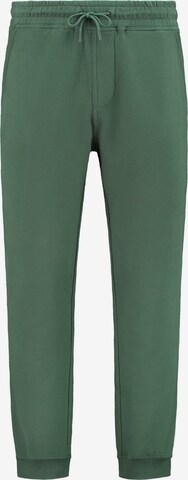 Effilé Pantalon Shiwi en vert : devant