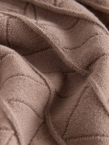 Next Trui in Beige