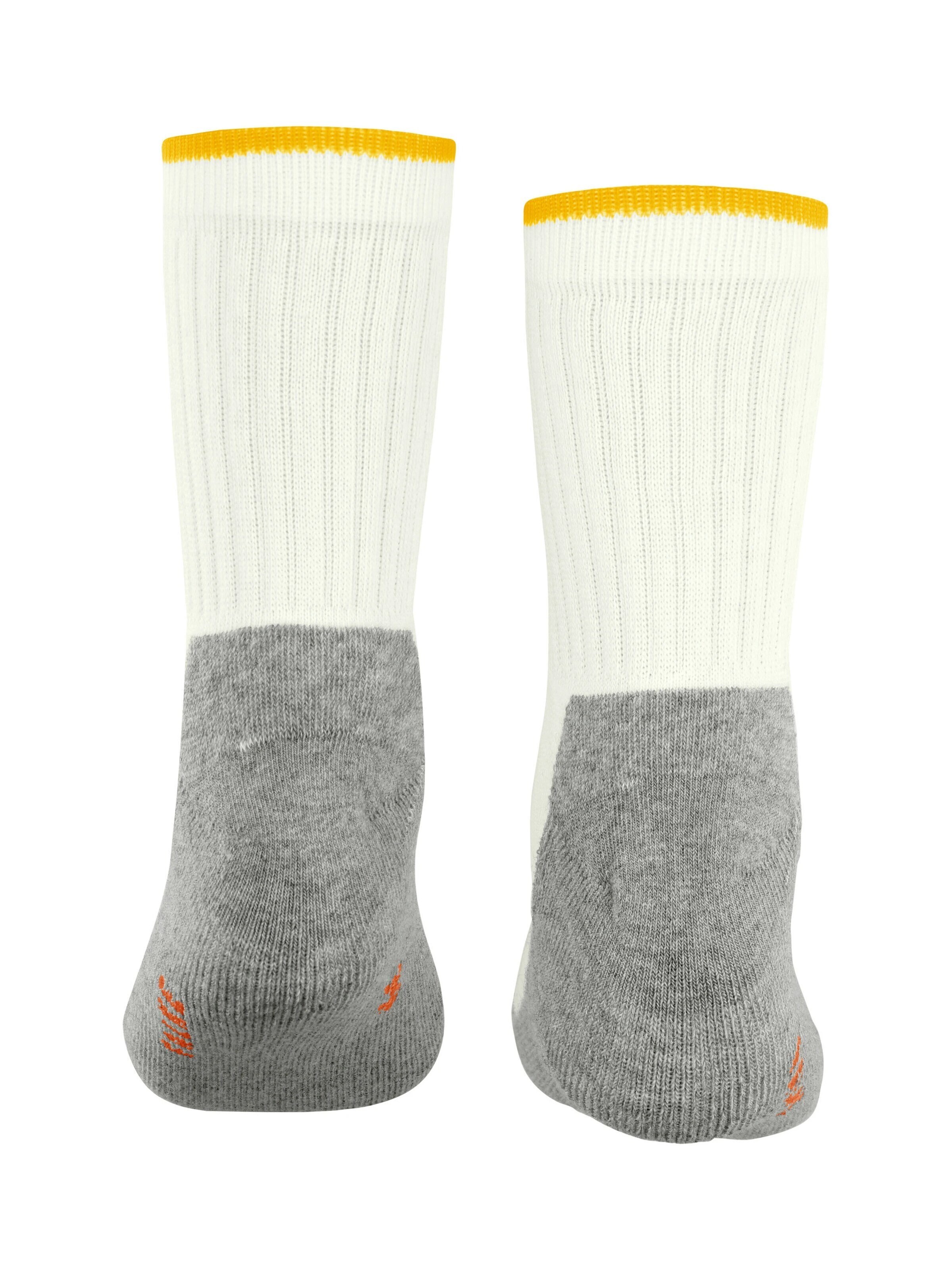FALKE Socks 'Active Everyday' in White