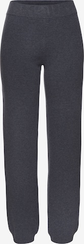 Pantalon Elbsand en gris : devant