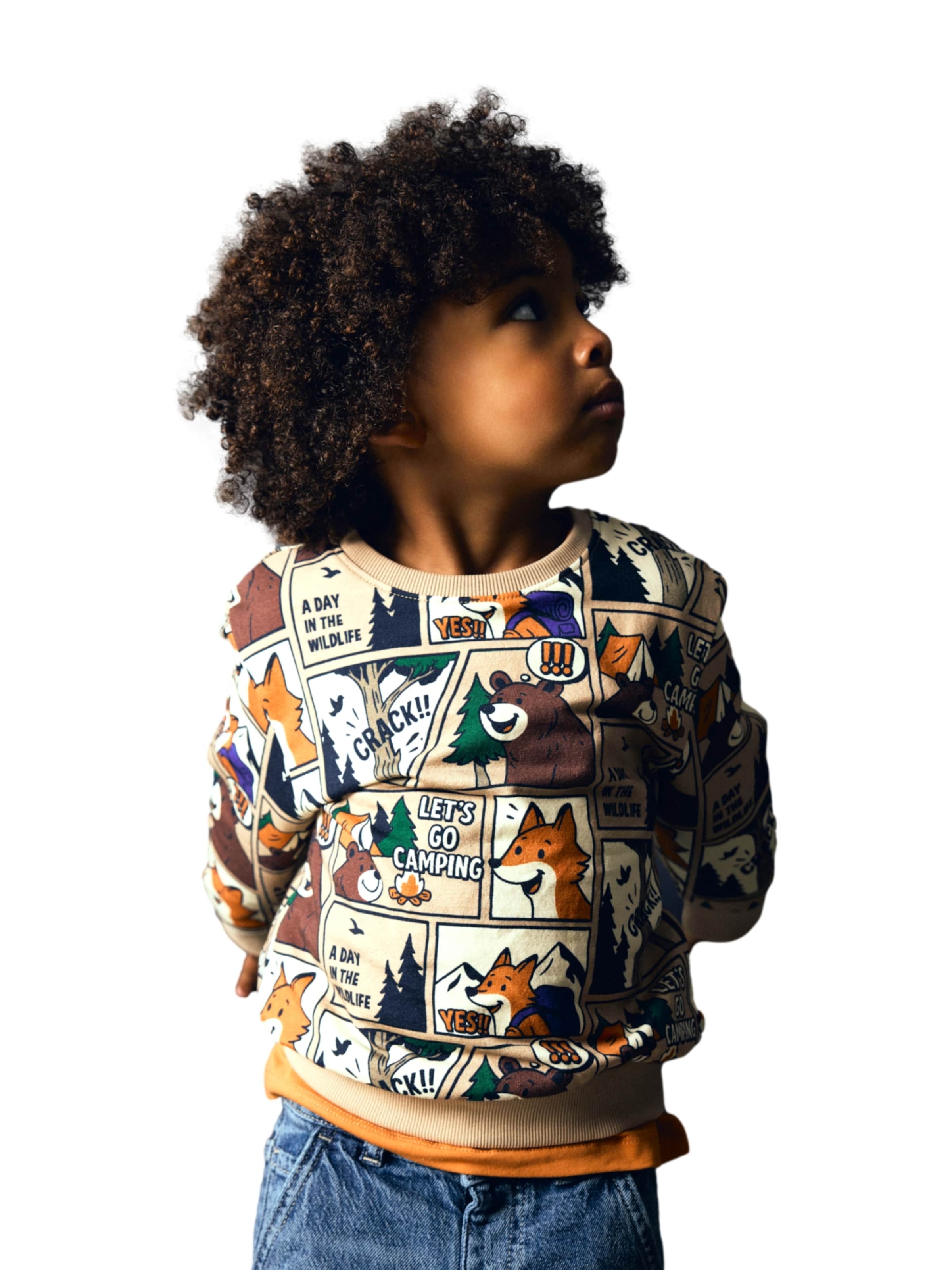 NAME IT Sweatshirt 'NMMOswaldy' in Braun: Vorderseite