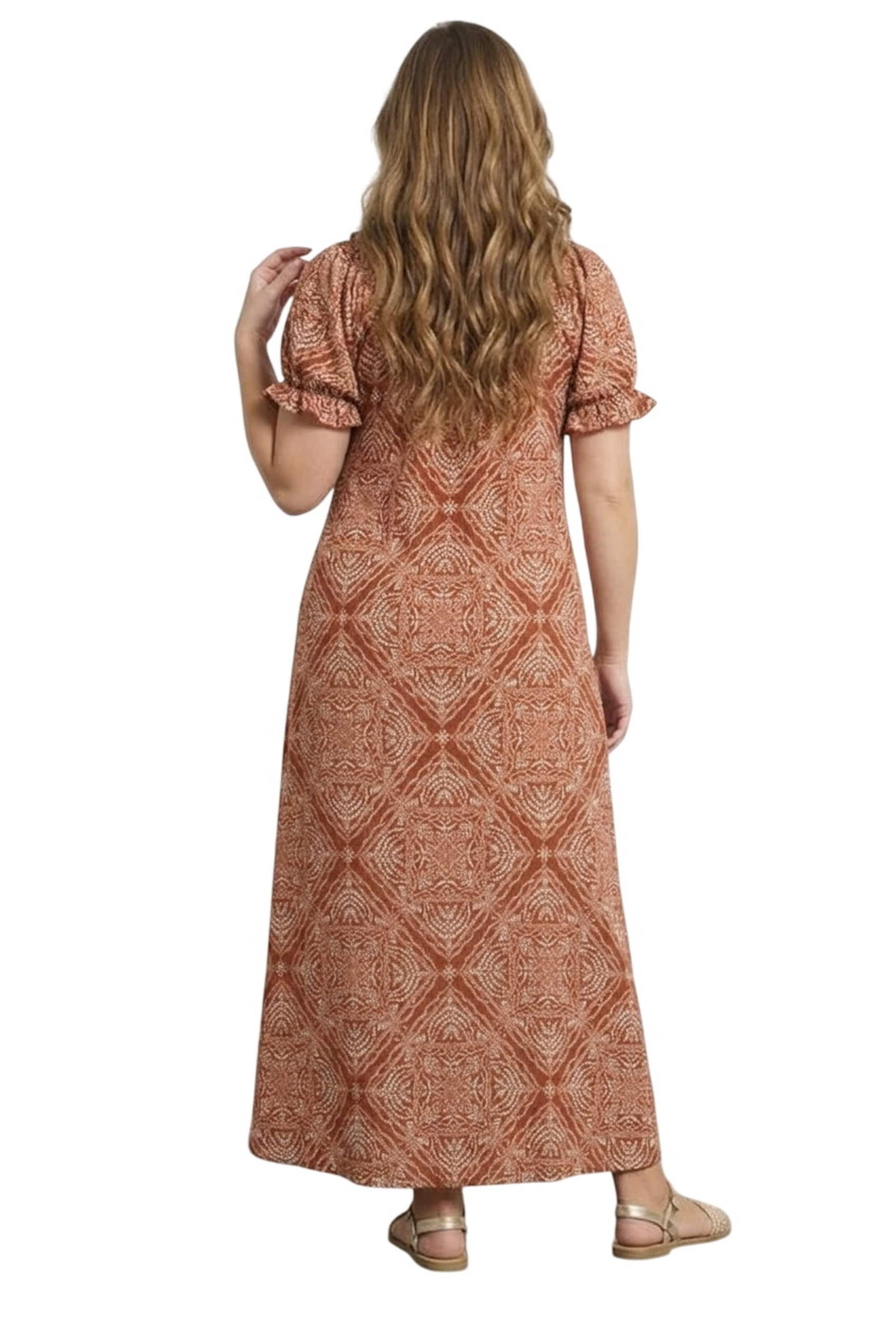 Stil Diva Dress in Brown