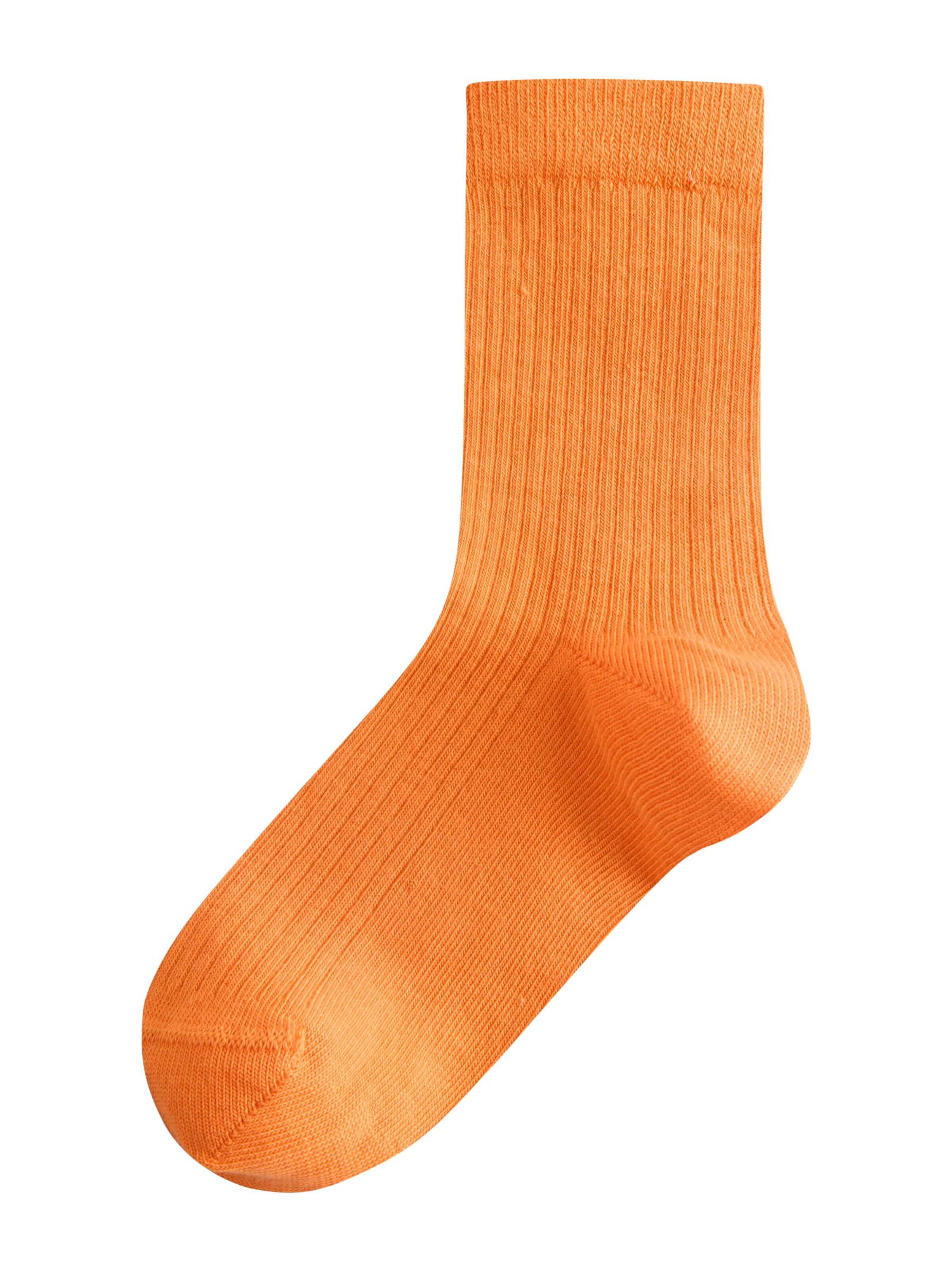 Chaussettes Next en mélange de couleurs