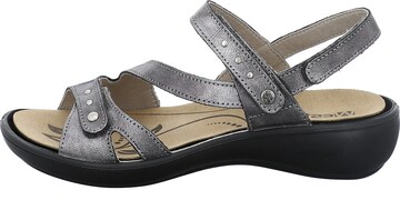 Westland by JOSEF SEIBEL Sandals 'Ibiza 70' in Grey