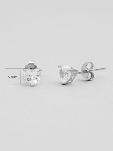 So Chic Oorbellen in Zilver: voorkant
