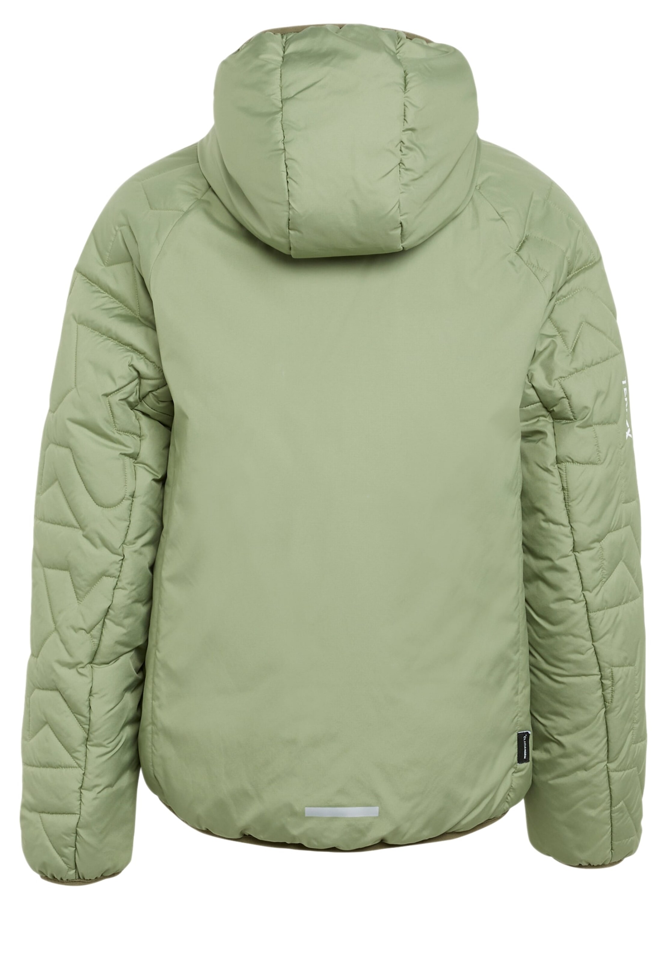 ADIDAS TERREX Outdoor jacket 'Xperior' in Green