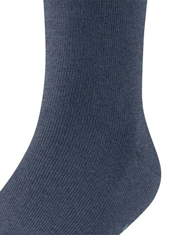 FALKE Socks 'Family' in Blue