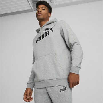 PUMA Sweatshirt 'Essentials' in Grey: front