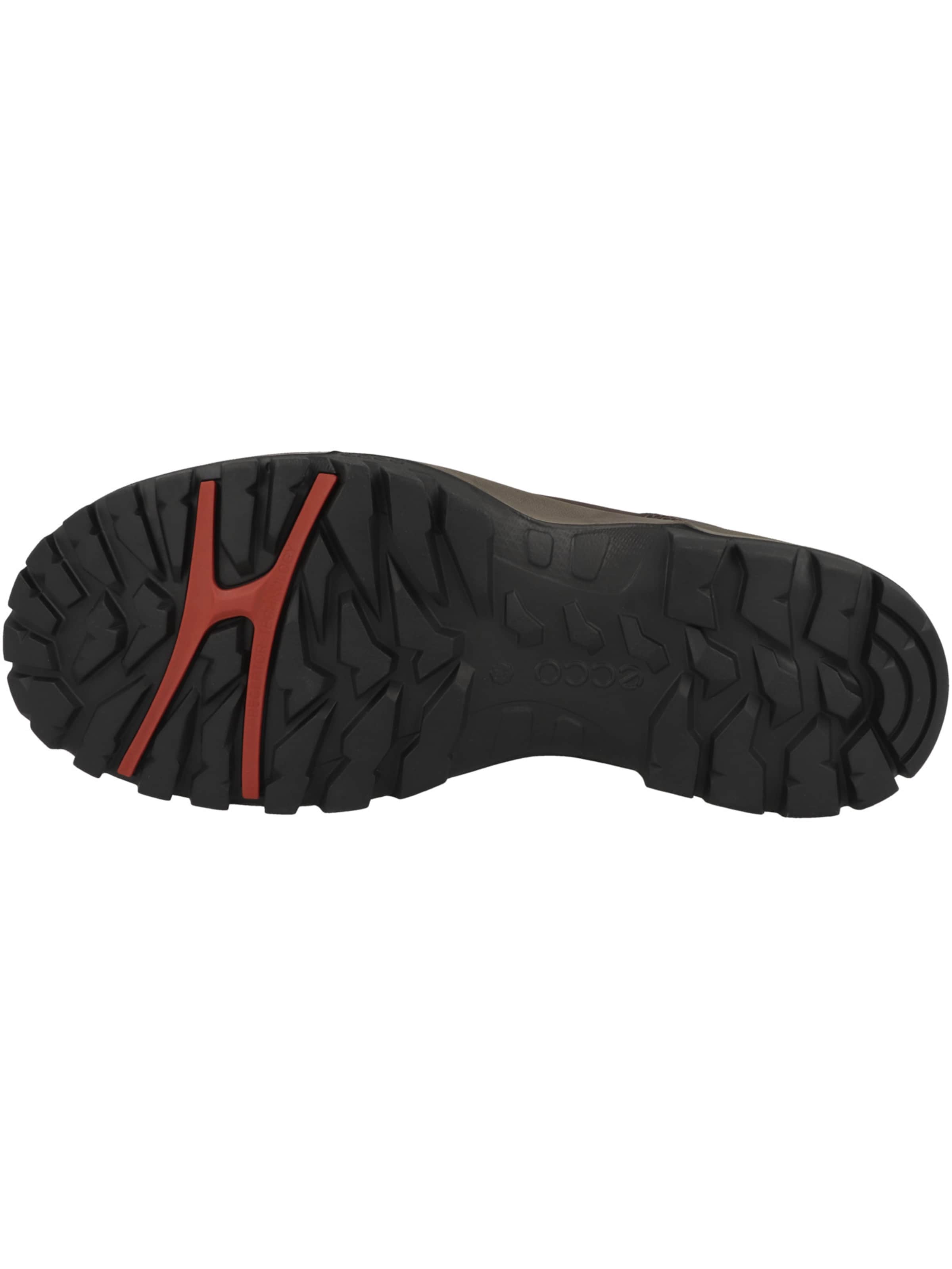 ECCO Boots 'Xpedition III' in Brown