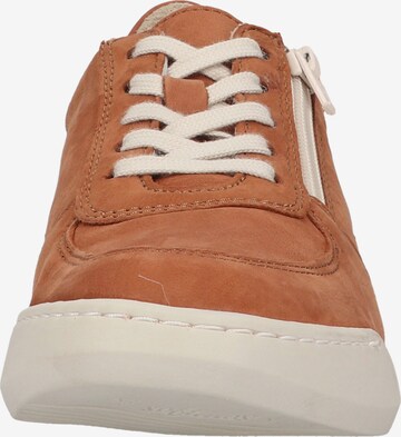 Softinos Sneaker in Braun