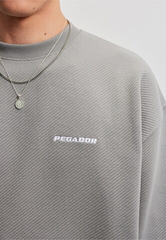 Sweat-shirt 'Tate' Pegador en gris