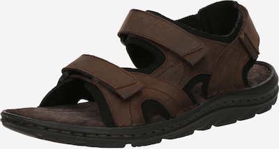 ABOUT YOU Sandale 'Peter' u čokolada, Pregled proizvoda