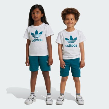 Survêtement 'Adicolor' ADIDAS ORIGINALS en vert