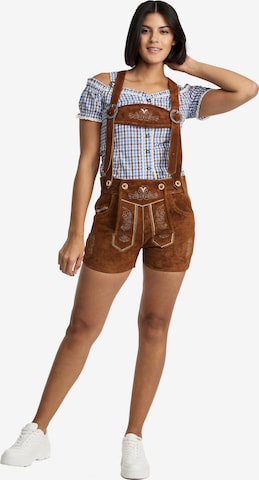 Steigenhöfer Regular Traditional Pants in Brown: front