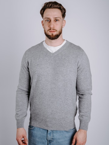DELGER Pullover‌‌‌‌‌‌‌‌‌ in Grau