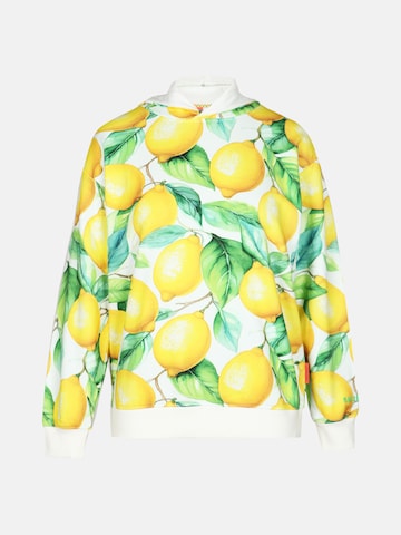 Sweat-shirt 'Barch' salzhaut en mélange de couleurs