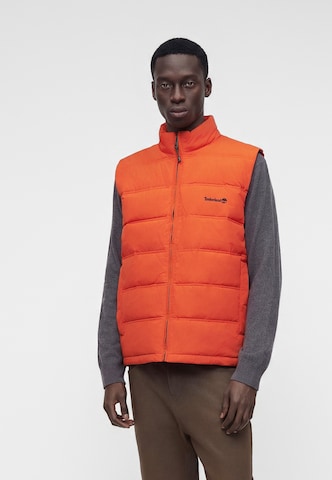 TIMBERLAND Жилетка 'AXIS PEAK' в Оранжевый: спереди