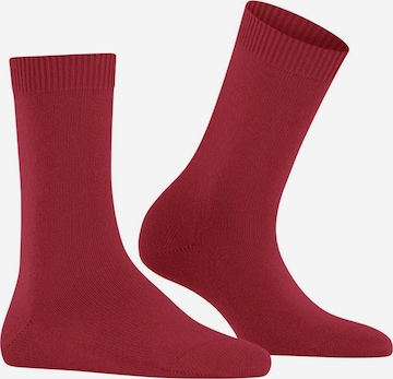 Calzino di FALKE in rosso