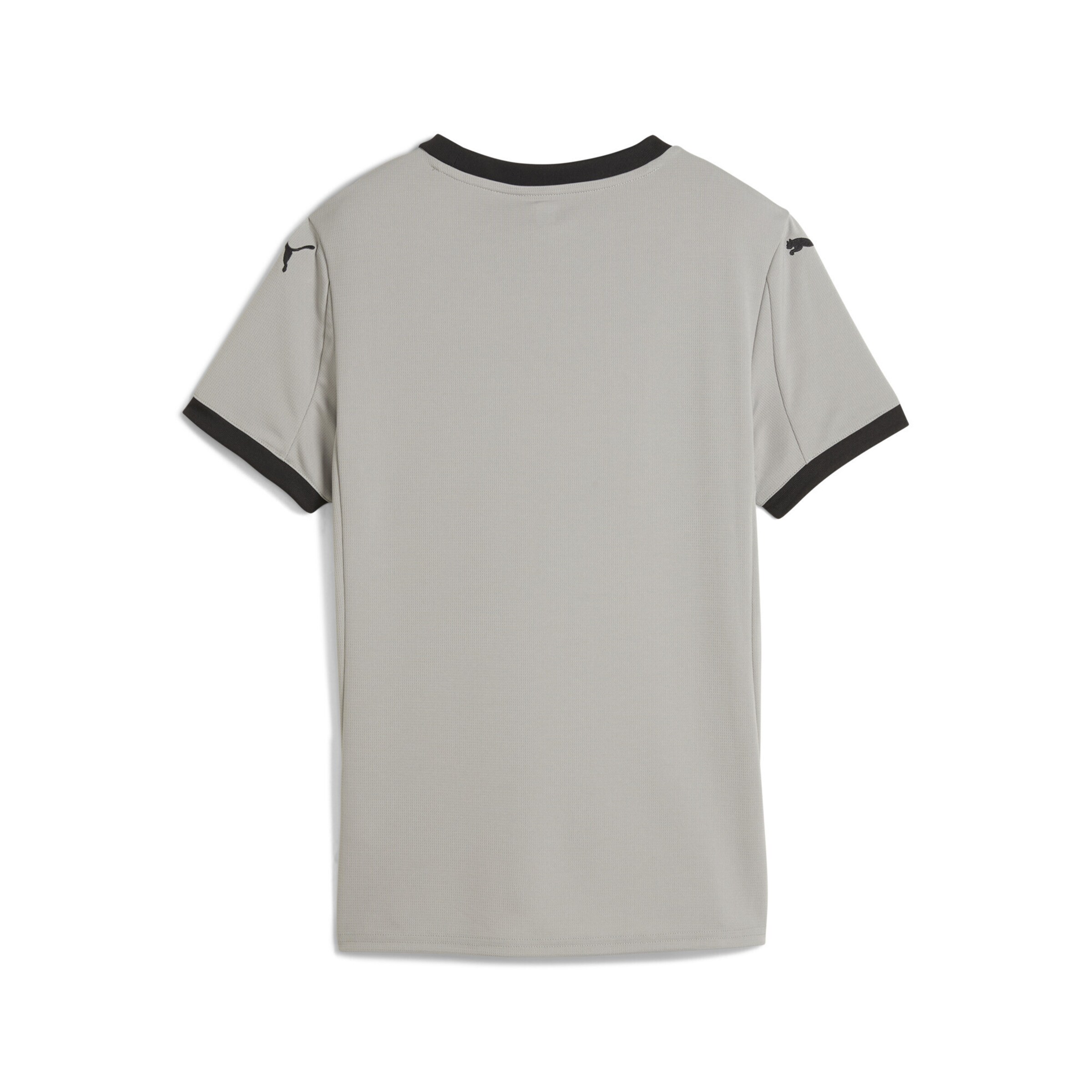 PUMA Tricot 'Portugal 2025' in Grijs