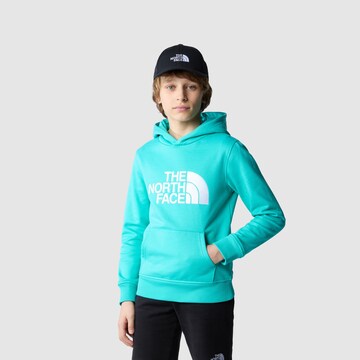 THE NORTH FACE Sweatshirt 'Drew Peak' in Green