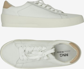MANGO Sneaker 39 in Weiß: Vorderseite