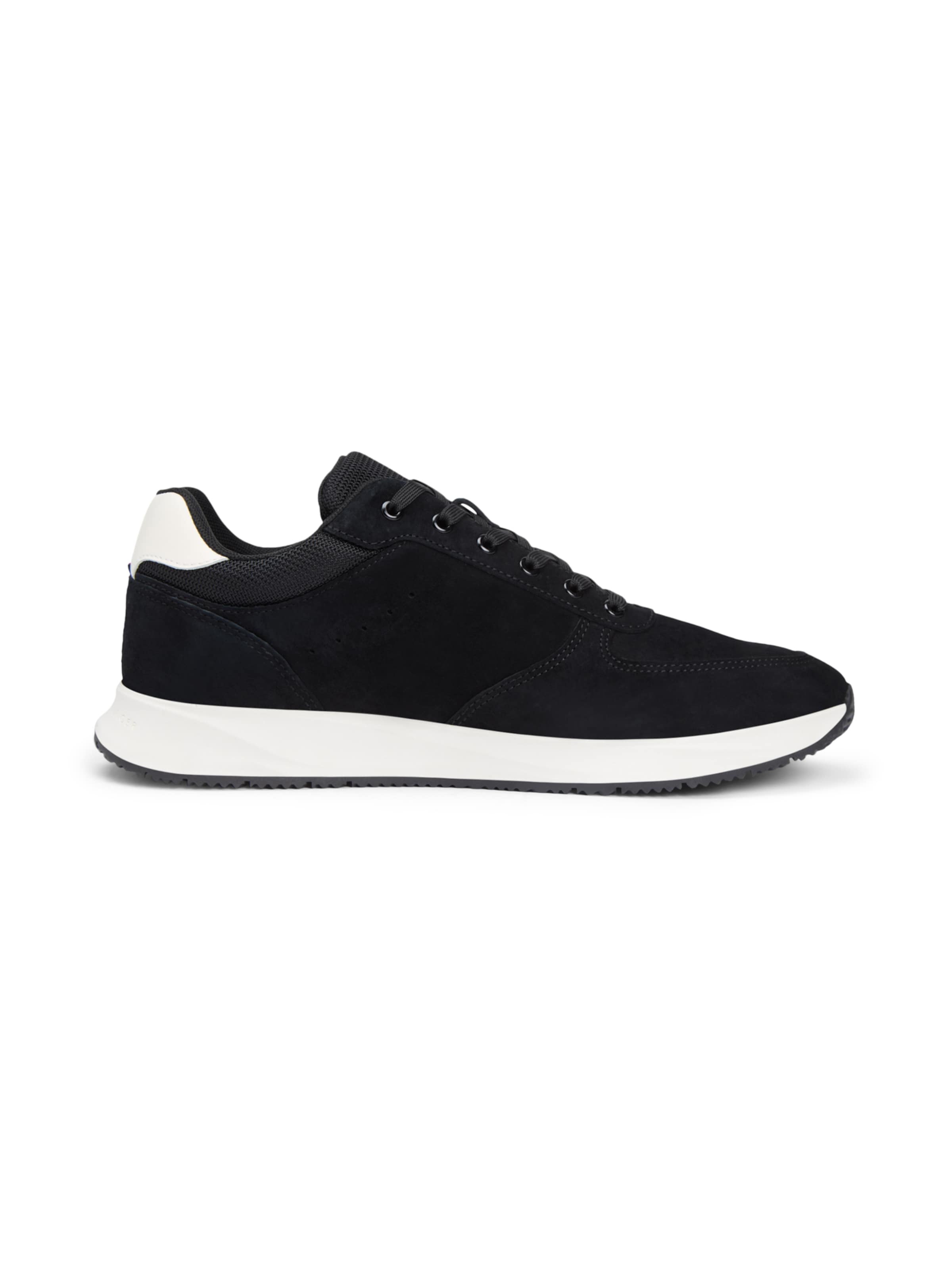 Baskets basses 'Newport' TOMMY HILFIGER en noir