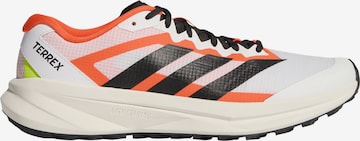 ADIDAS TERREX - Sapatilha de corrida 'Agravic Lite' em branco: frente