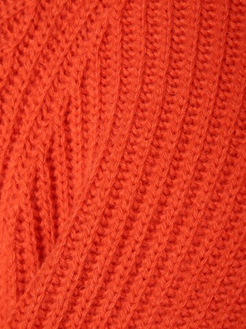 DRYKORN Sweater ' Arvid ' in Orange