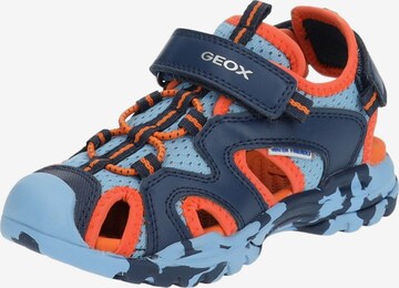 Chaussures ouvertes GEOX en bleu : devant