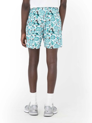 DICKIES Regular Shorts 'ROSEBURG' in Weiß