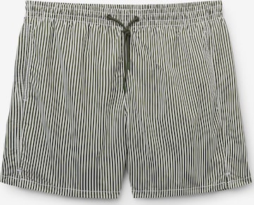 CALZEDONIA Badeshorts 'Formentera' in Grün: Vorderseite