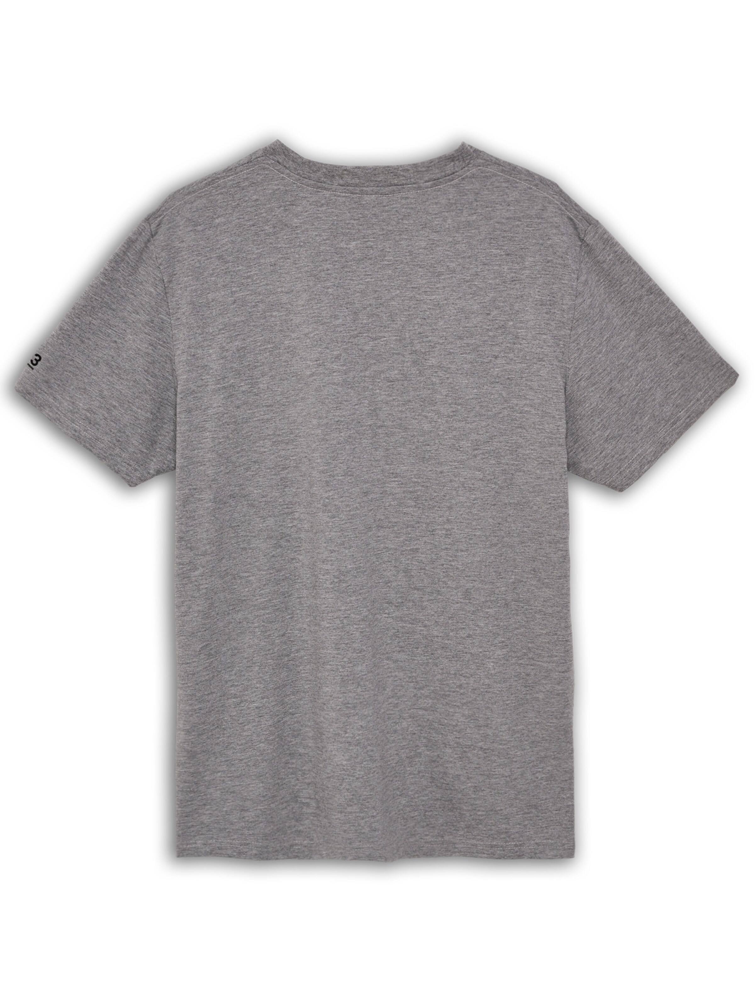 HALO Shirt in Grey