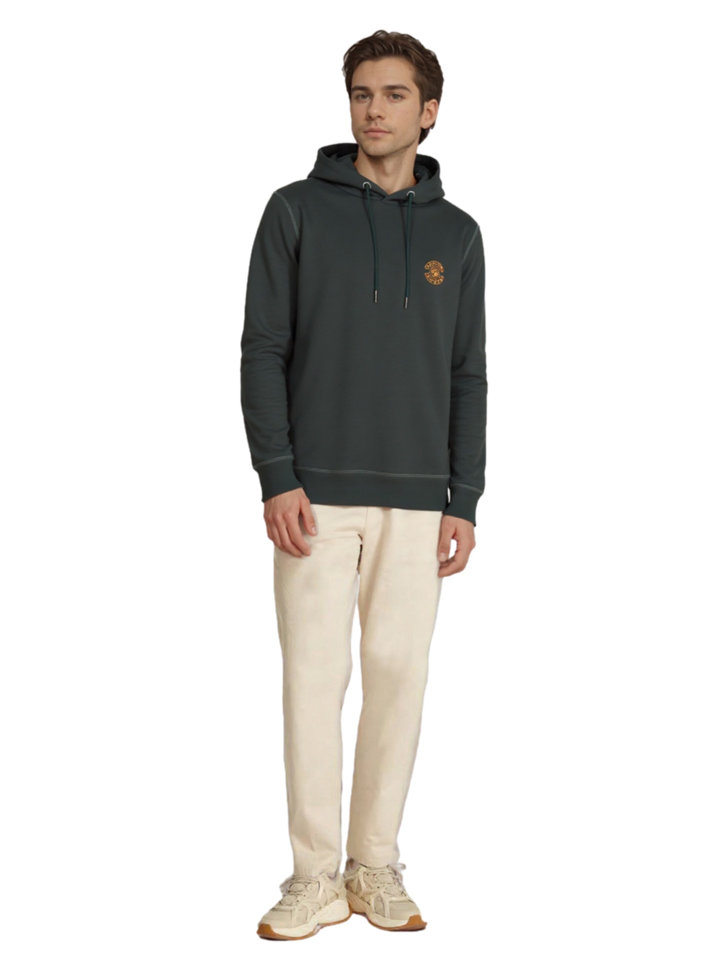 Petrol Industries Sweatshirt i grå