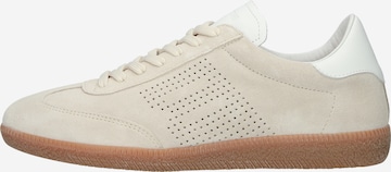 Baskets basses 'Lime Wren Perf DL446' BLACKSTONE en beige : devant