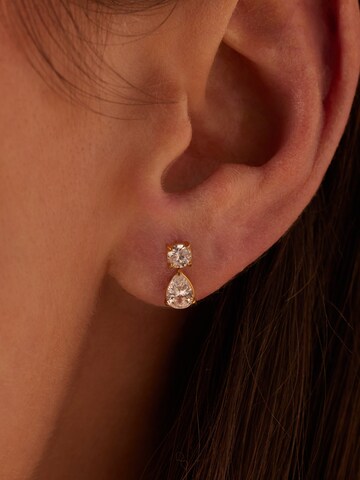 Lucardi Earrings in Gold