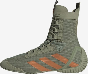 Chaussure de sport 'Speedex 23' ADIDAS PERFORMANCE en gris : devant