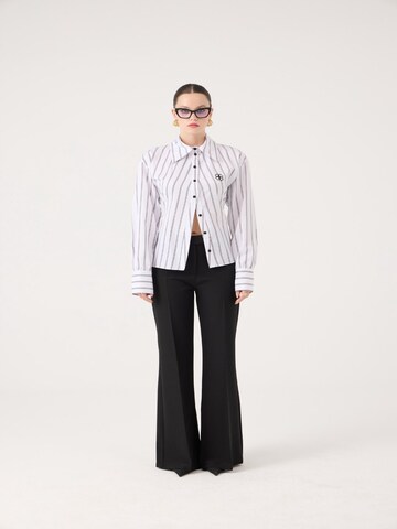 HOLLY LOLLY Flared Pleated Pants in Black: front