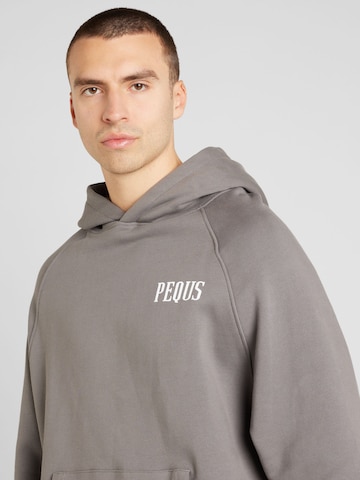 Pequs Sweatshirt in Grey