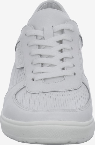 JOSEF SEIBEL Athletic Lace-Up Shoes 'Caren' in White