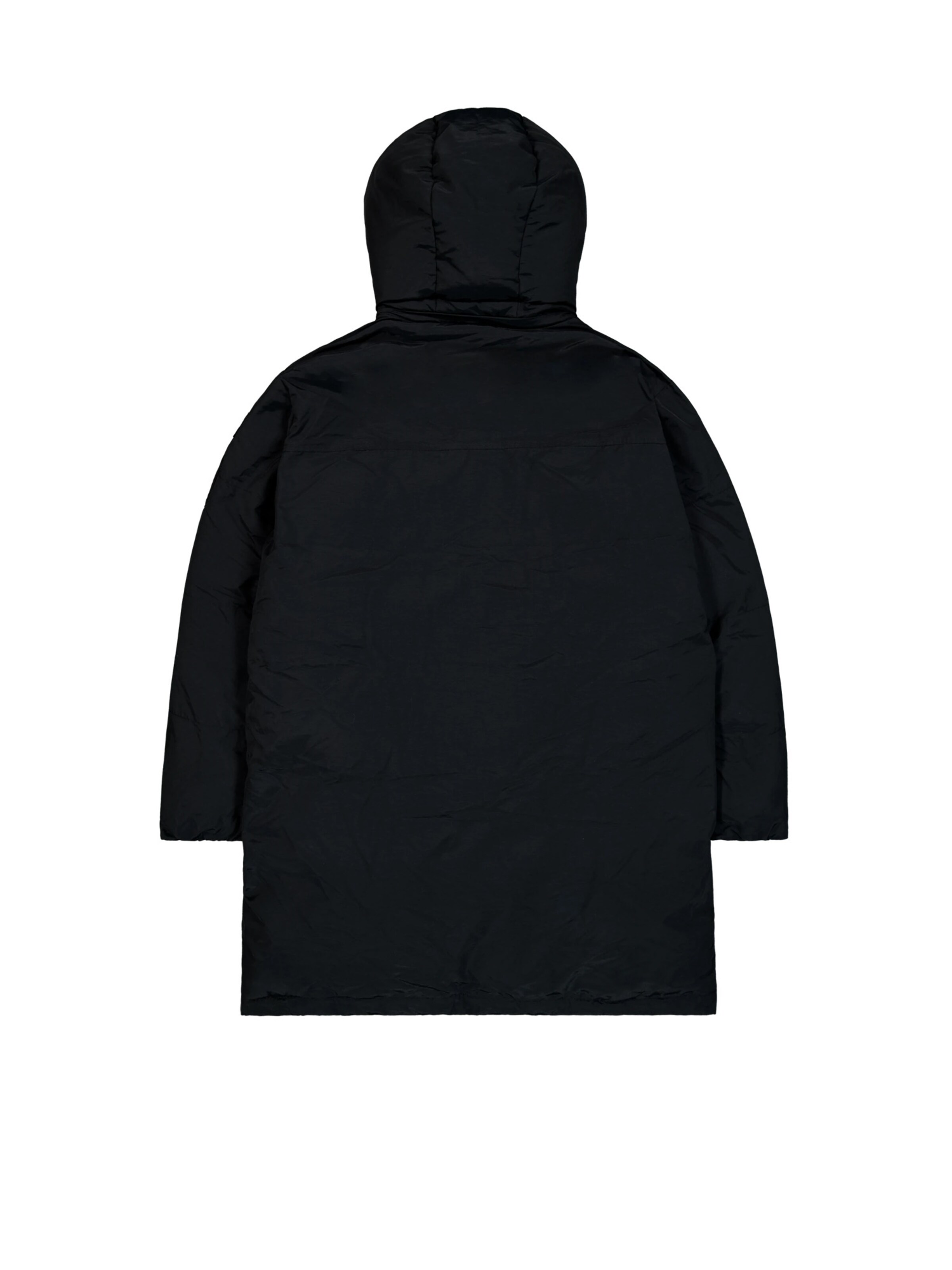 ALPHA INDUSTRIES Winter parka in Black